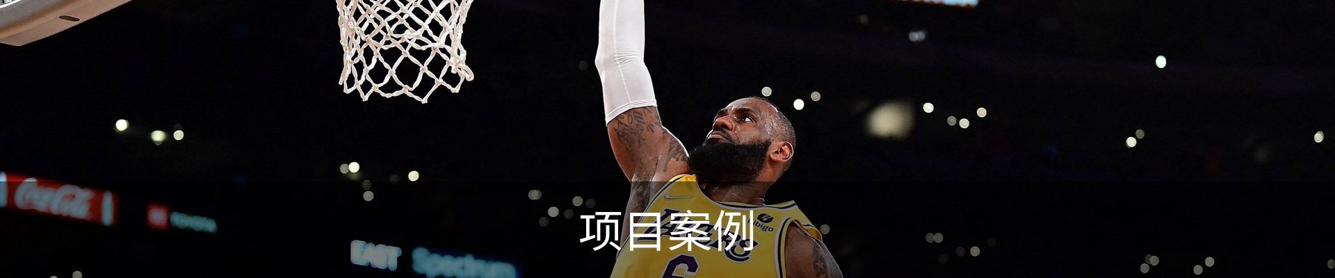 项目案例